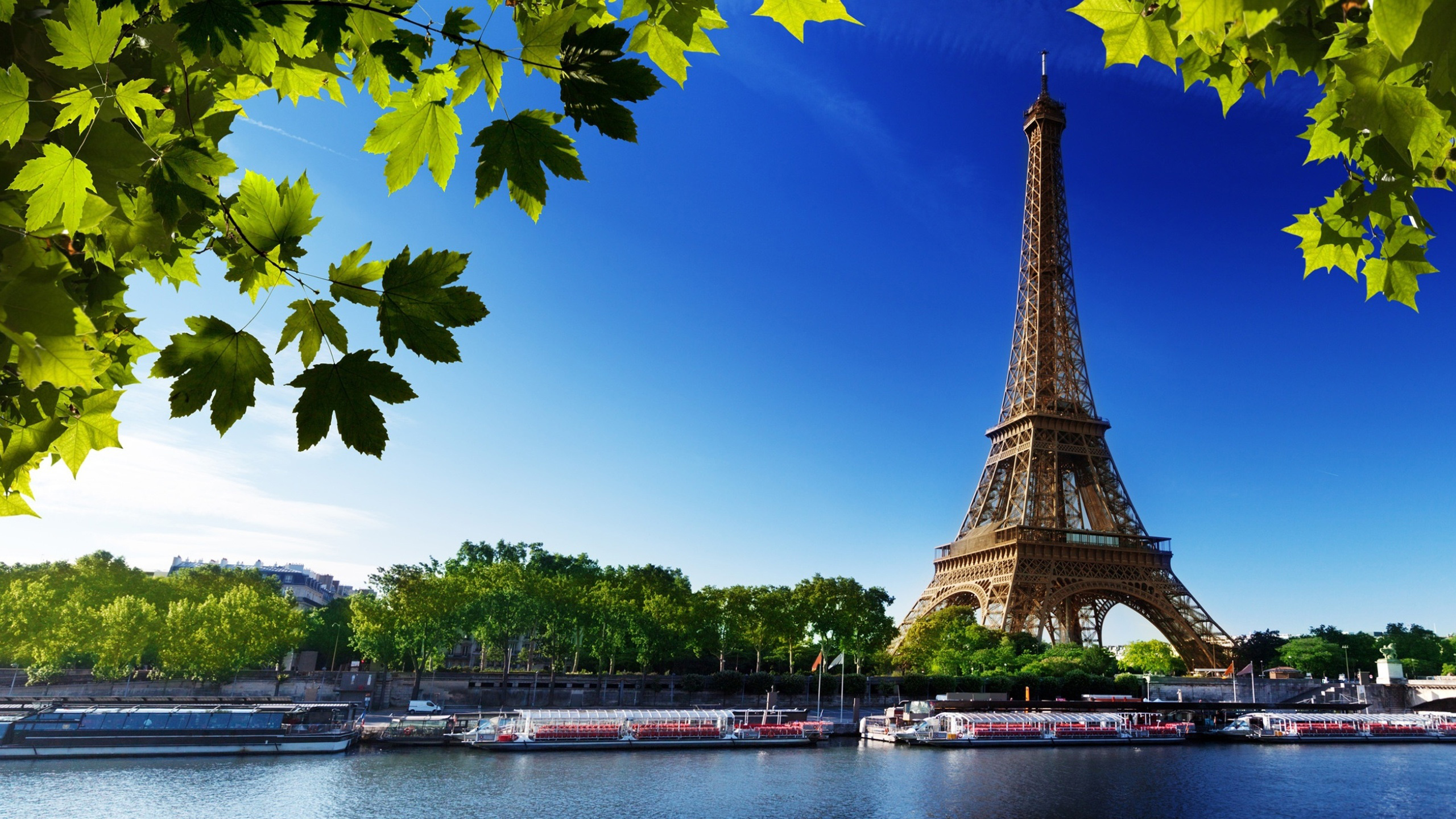 https://www.entriva.com/wp-content/uploads/2023/06/paris_eiffel_tower_france_with_blue_sky_background_hd_travel.jpg