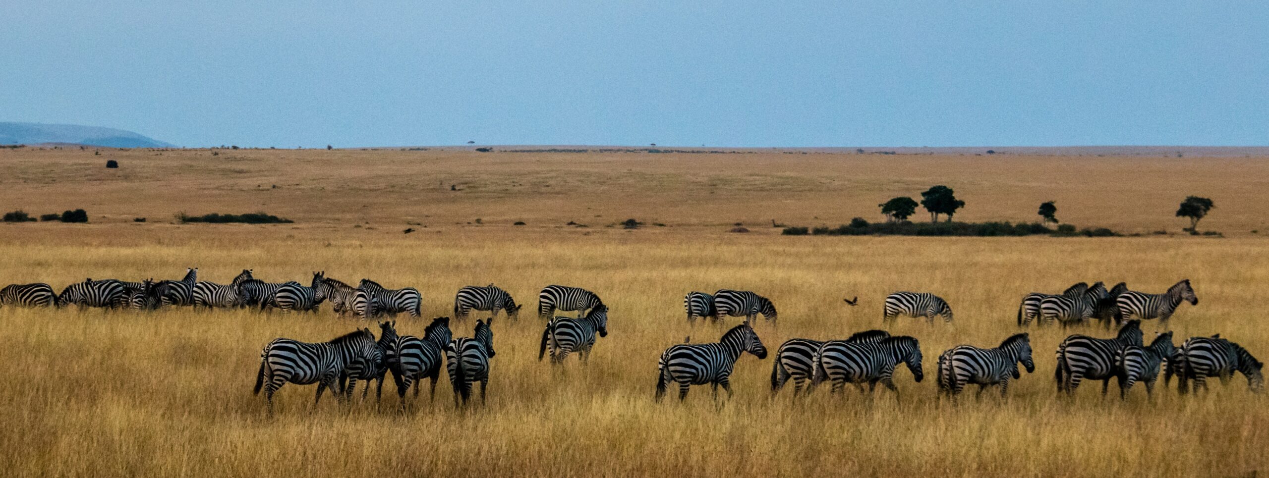 kenia safari trinkgeld