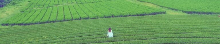 South Korea Travel Requirements Entriva South Korea Travel Requirements Entriva